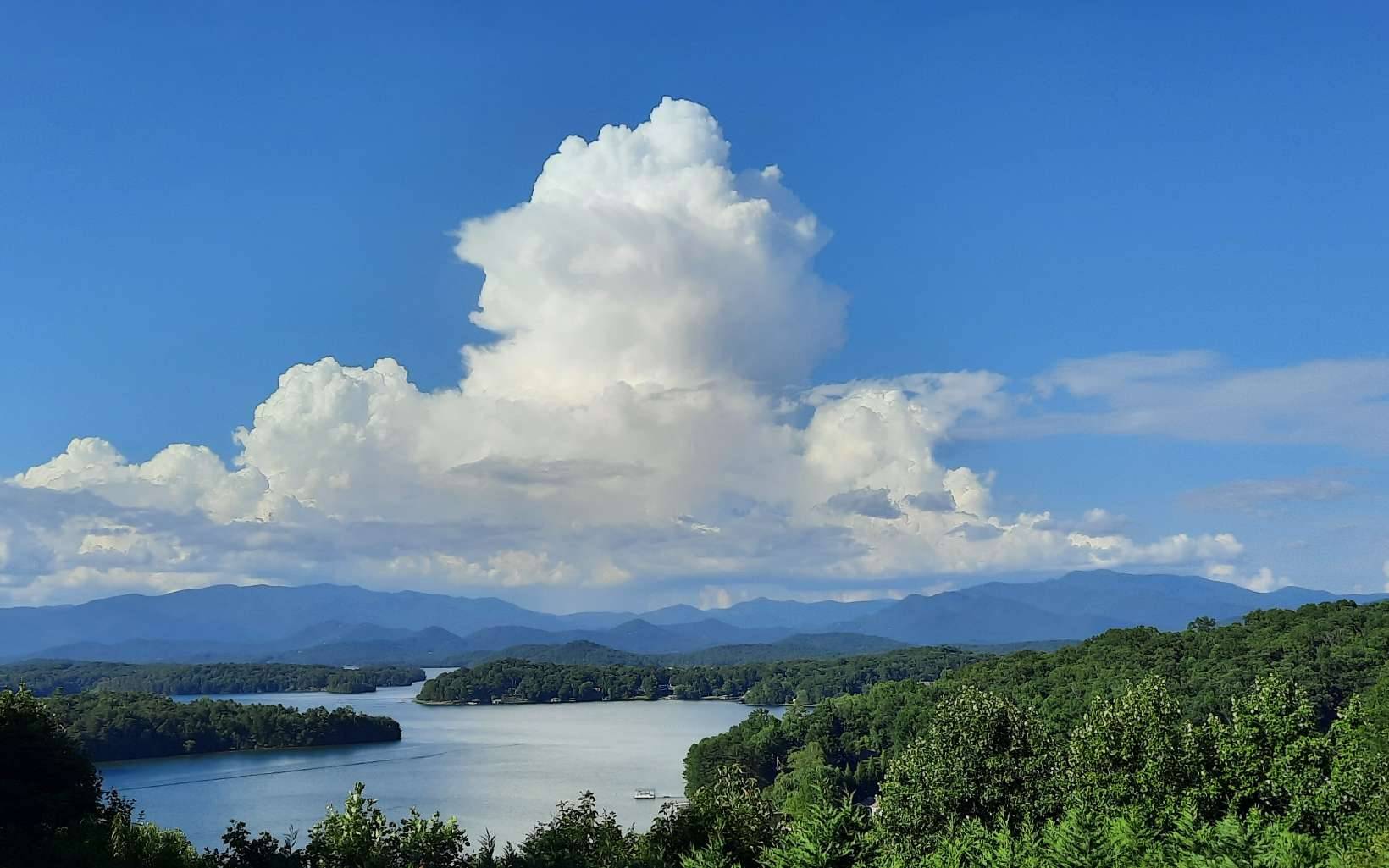 Hiawassee, GA 30546,2950 Lookout Drive