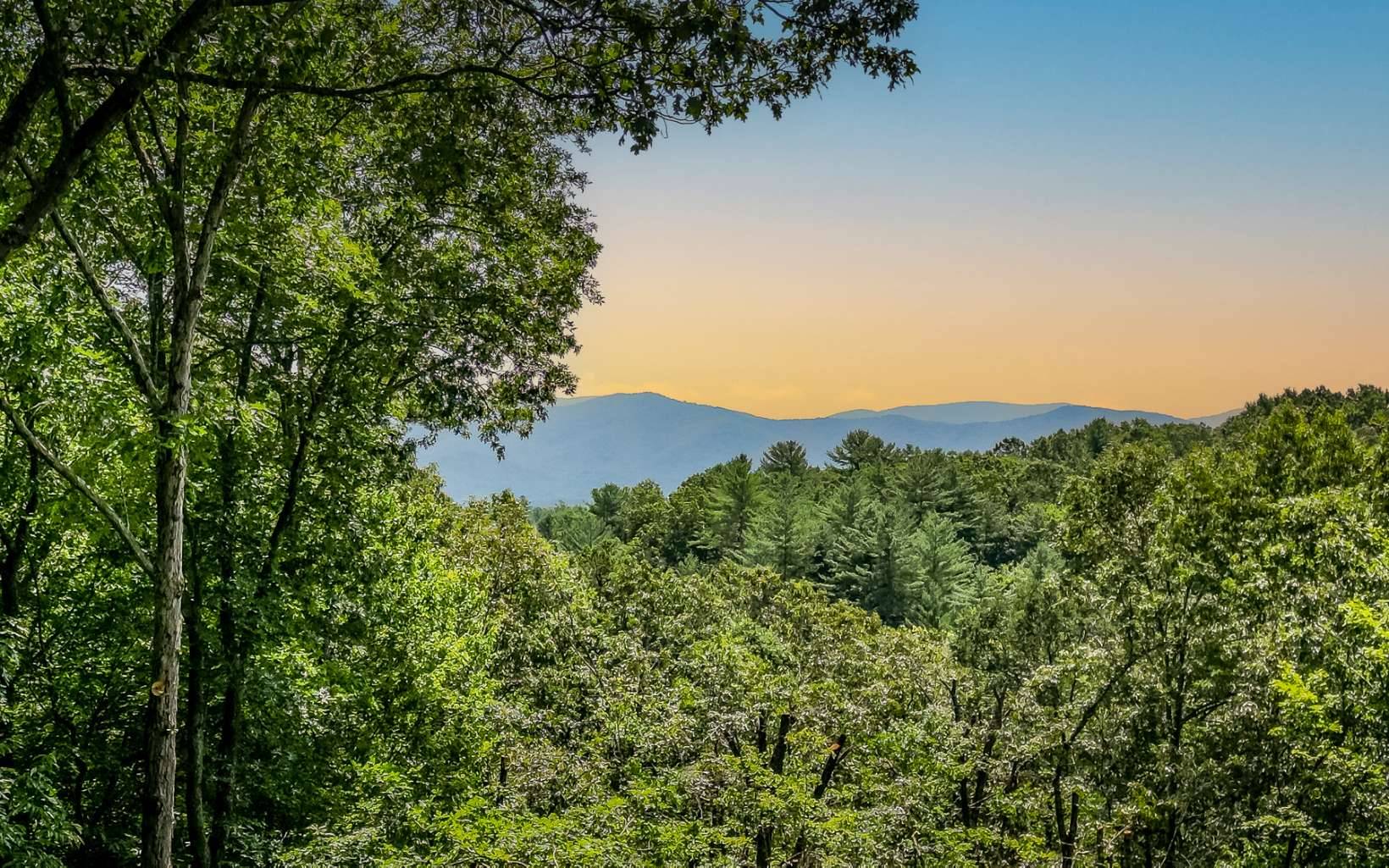 Ellijay, GA 30540,20 Trails End Knoll