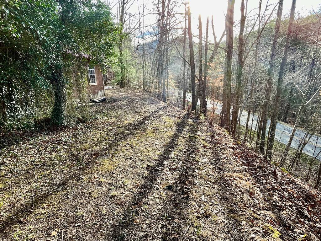 Blairsville, GA 30512,6 Spring Cove Road