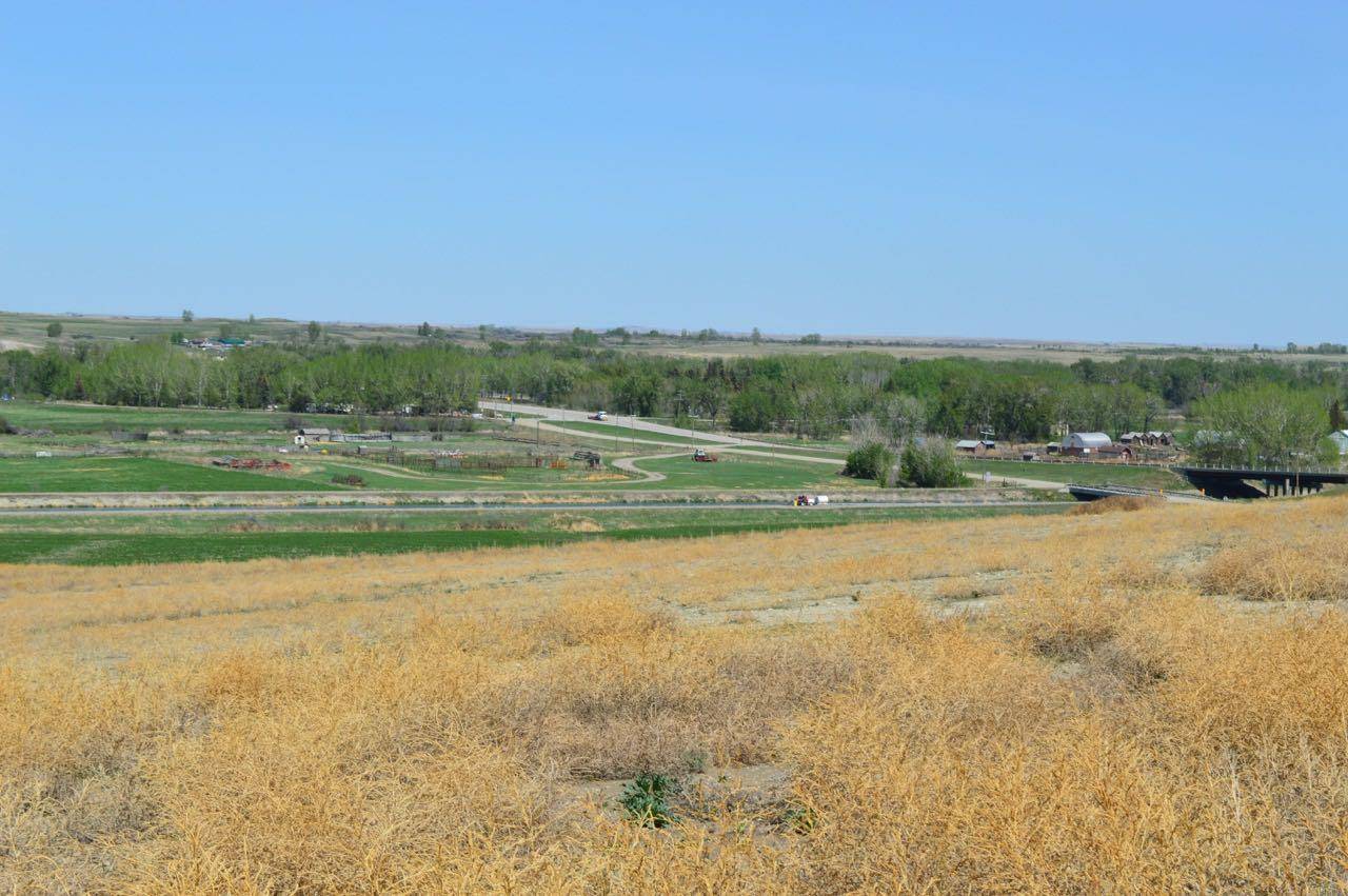 Rural Vulcan County, AB T0J 0M0,215 A