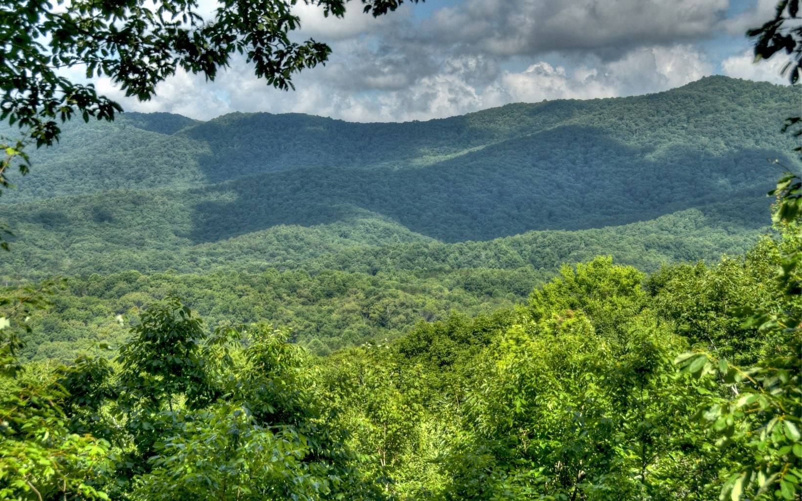 Blue Ridge, GA 30513,404 Cohutta Mountain Road