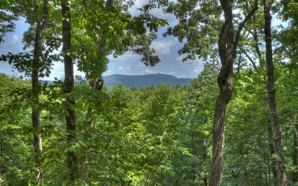 Cherry Log, GA 30522,12 Little Bushy Head Road