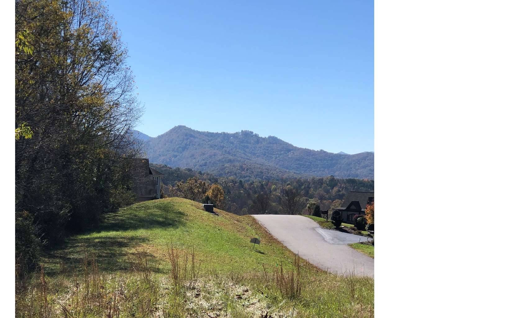 Hayesville, NC 28904,131A Meadow Ridge Drive