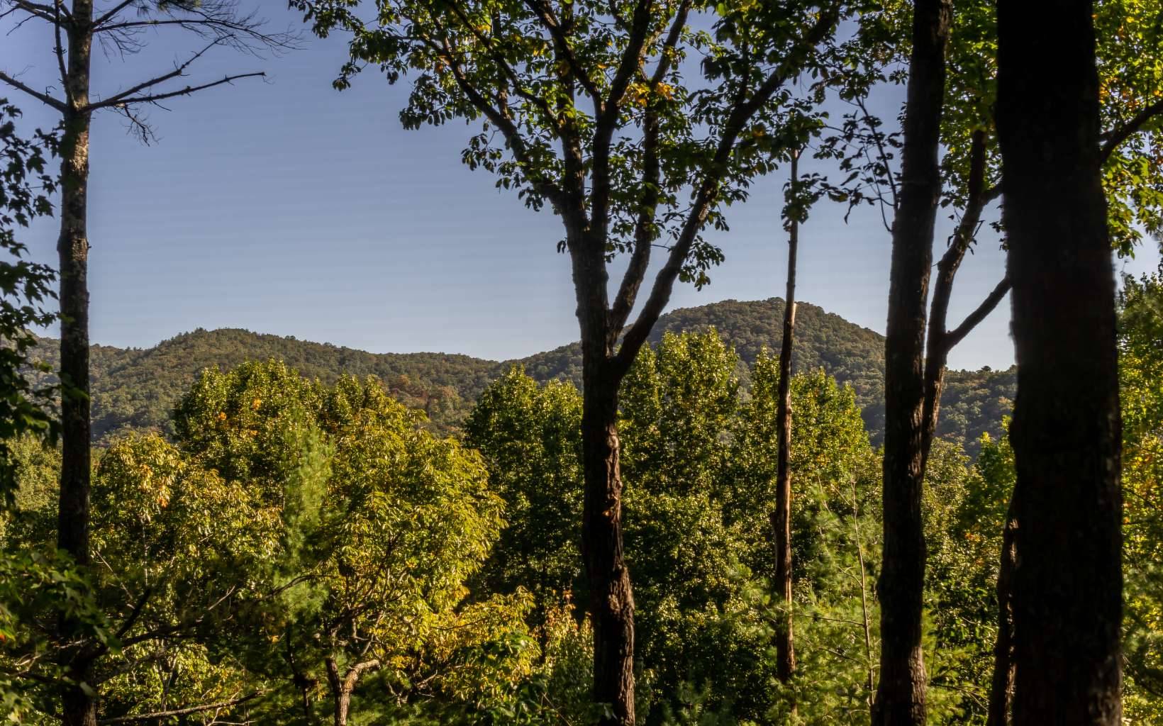 East Ellijay, GA 30540,830 Amy Creek Drive