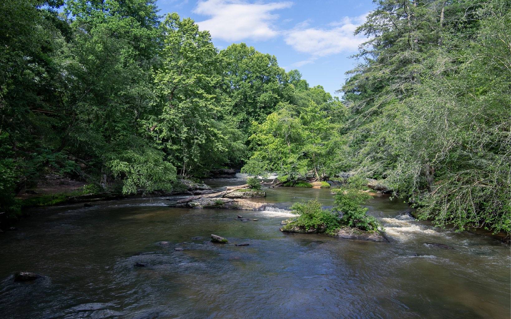 Ellijay, GA 30540,345 Indian Cave Road