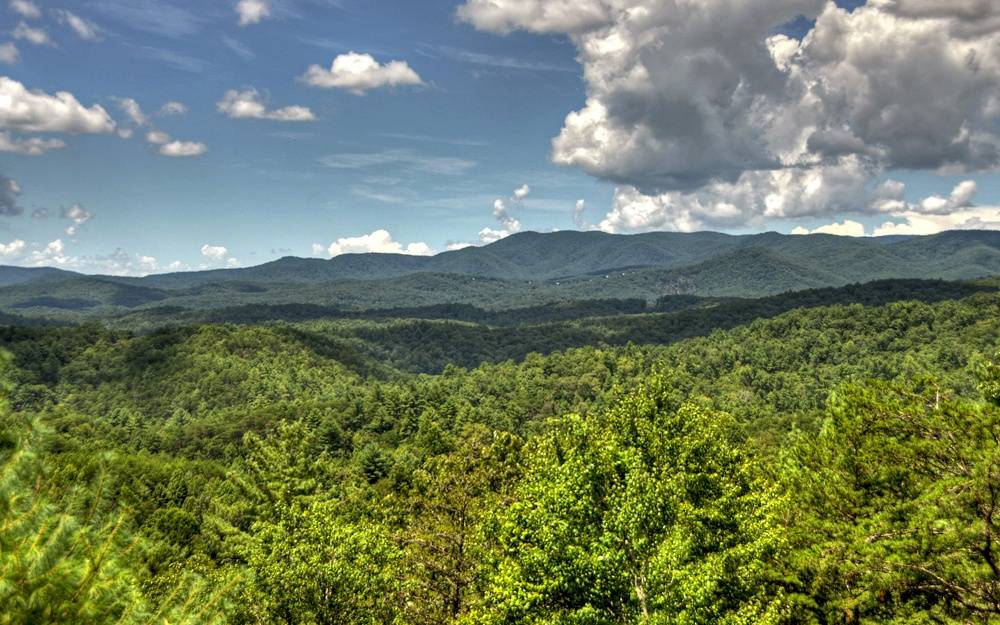 Cherry Log, GA 30522,1817 Hidden Lake Drive