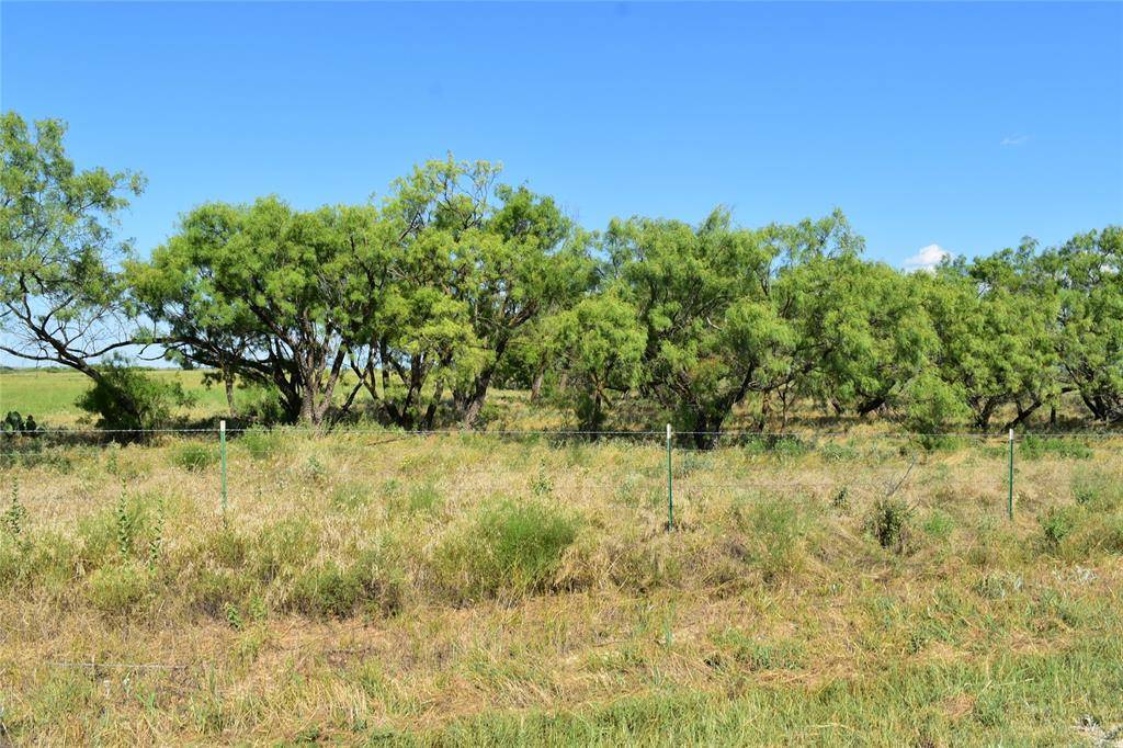 Olney, TX 76374,TBD Rodgers Road