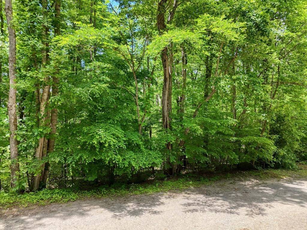 Hayesville, NC 28904,Lot 96 Shiloh Drive