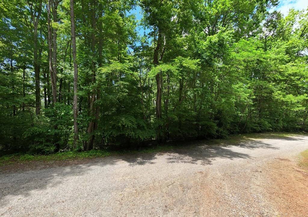 Hayesville, NC 28904,Lot 96 Shiloh Drive