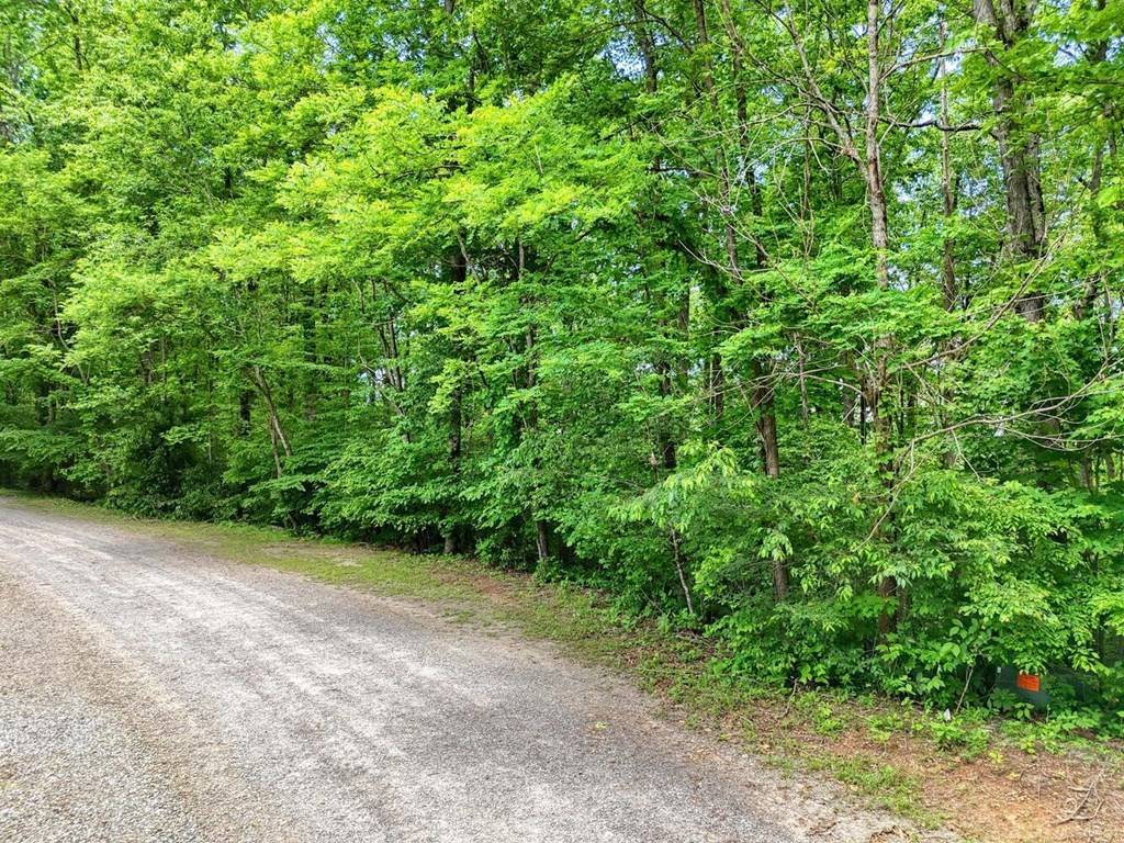 Hayesville, NC 28904,Lot 96 Shiloh Drive