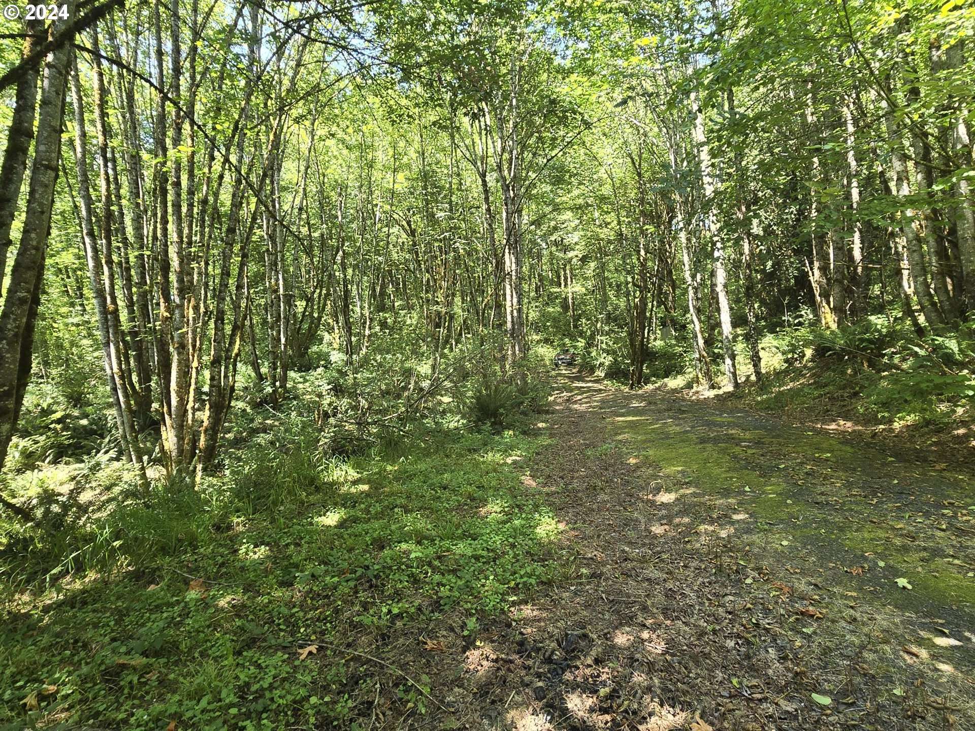 Rainier, OR 97048,Tide Creek RD