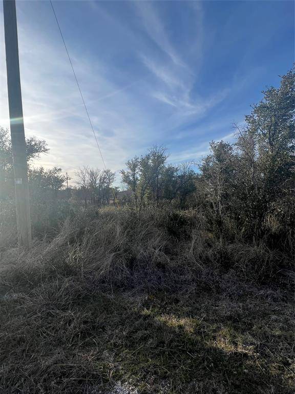 Brownwood, TX 76801,TBD Lot 982 Lake Breeze Drive