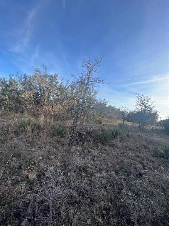 Brownwood, TX 76801,TBD Lot 982 Lake Breeze Drive