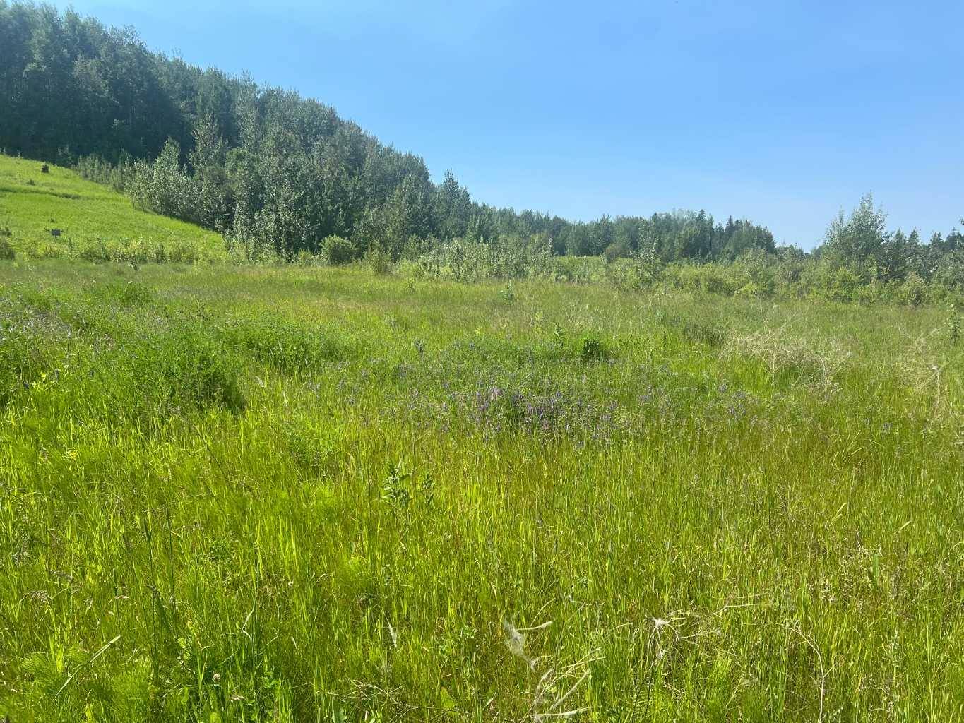 Slave Lake, AB T0G 2A3,1101 15 AVE Southeast