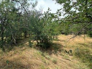 Santa Anna, TX 76823,TBD County Road 203