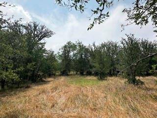 Santa Anna, TX 76823,TBD County Road 203