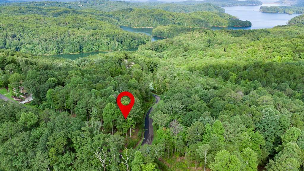 Ellijay, GA 30501,Lot 244 Carters View Lane