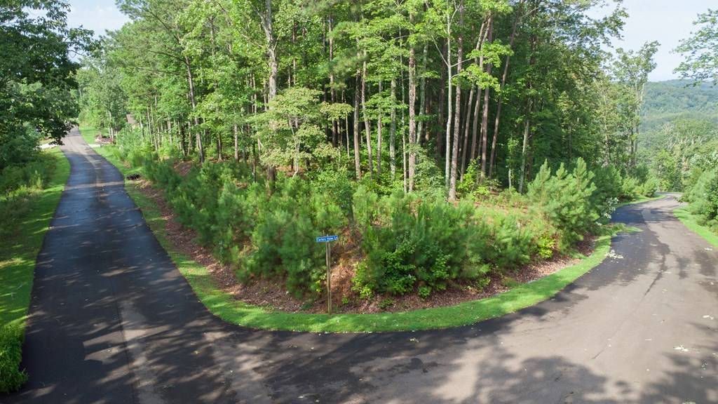 Ellijay, GA 30501,Lot 244 Carters View Lane