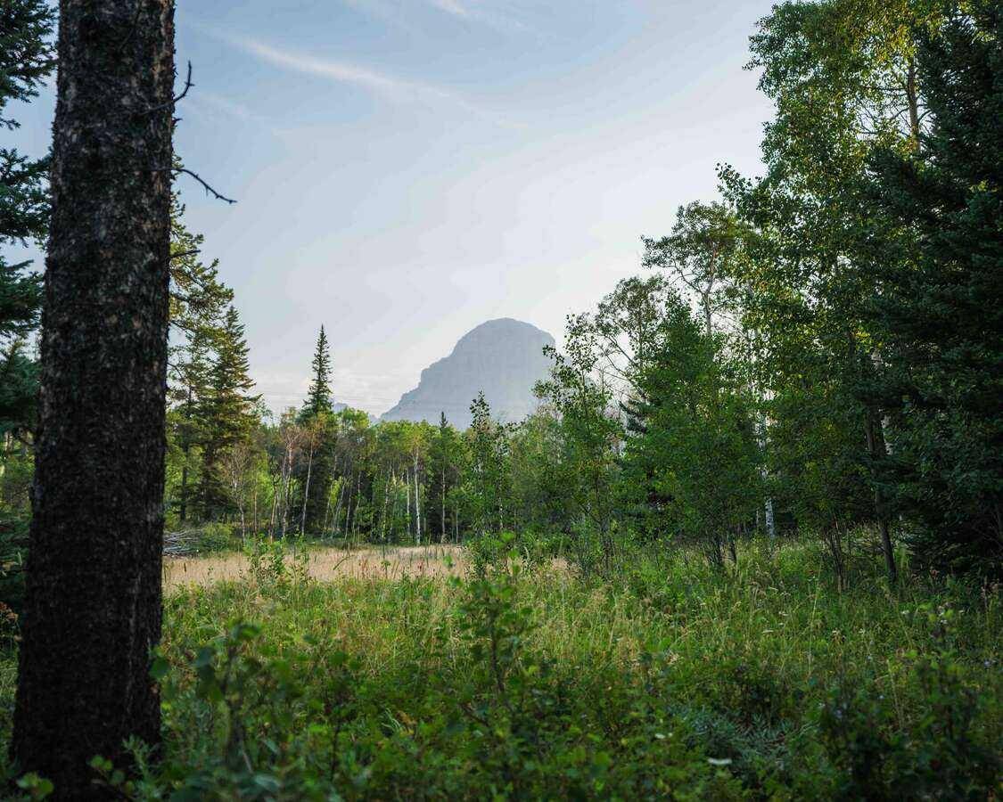 Rural Crowsnest Pass, AB T0K 0M0,3067 Tecumseh RD