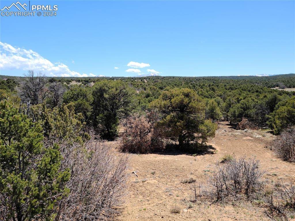 Walsenburg, CO 81089,363 Black Hills DR