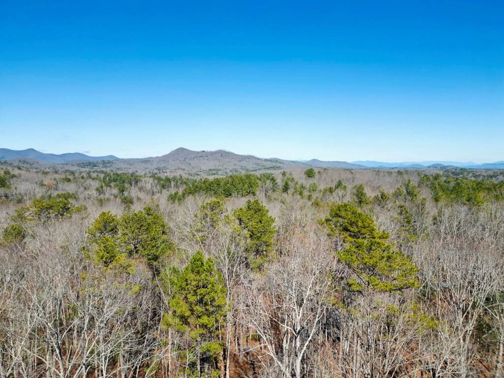 Mineral Bluff, GA 30559,0 Arp Road