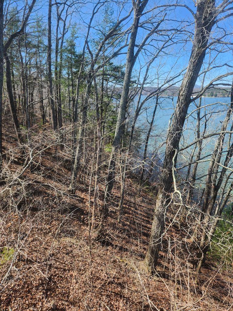 Radford, VA 24141,Lot 2A Martin Rd