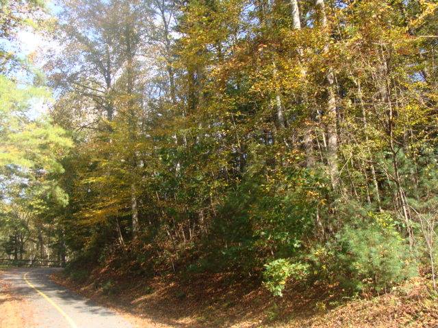 Fancy Gap, VA 24328,TBD Otter Creek Trail