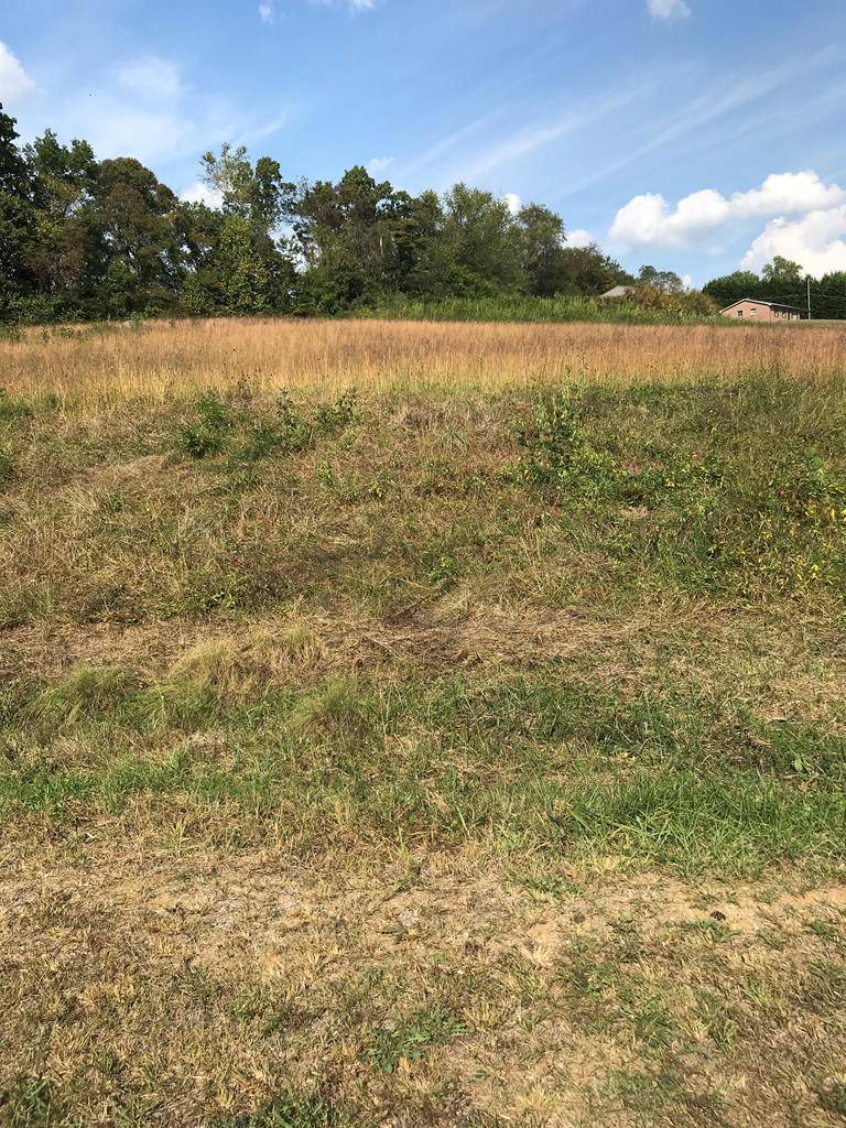 Chilhowie, VA 24319,TBD Lot #25 Christin Lane