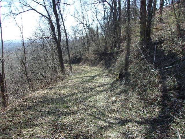 Elk Creek, VA 24326,TBD Spring Valley Road