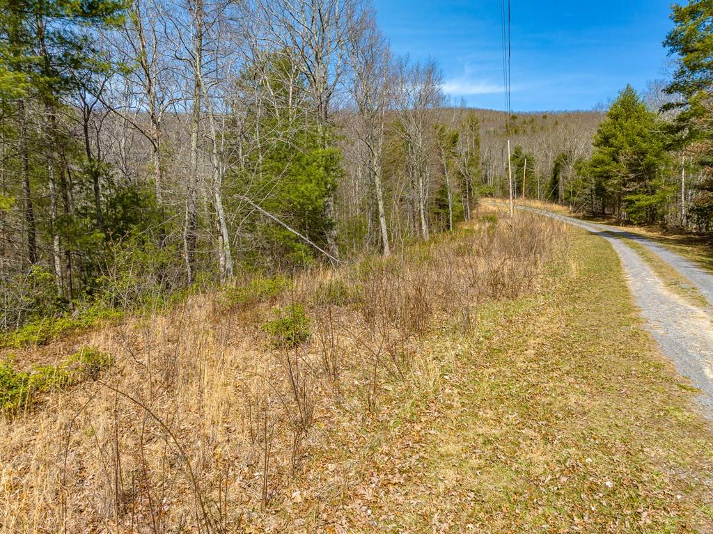 Bland, VA 24315,Lot 5 N Sunset Lane