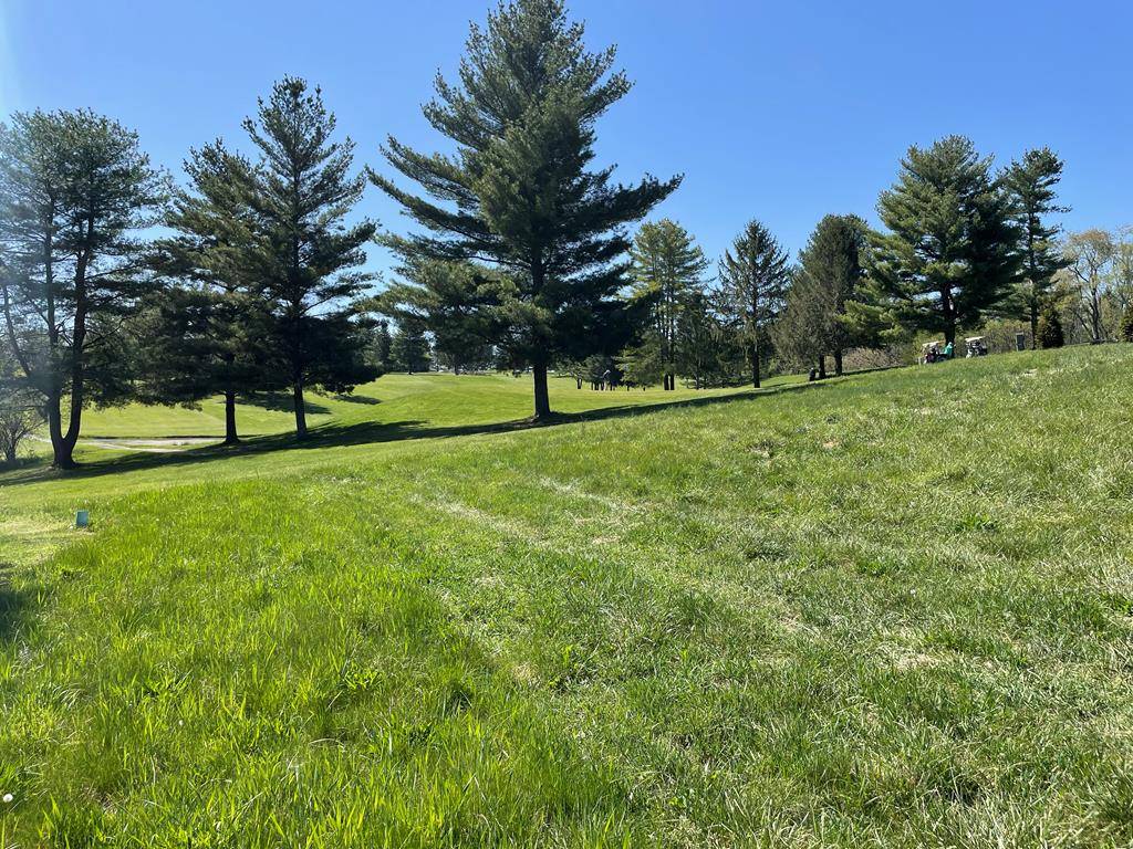 Wytheville, VA 24382,TBD Old Stage Rd