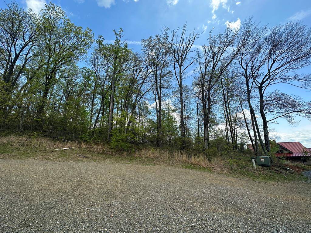 Ararat, VA 24053,TBD Falcon Ridge Rd