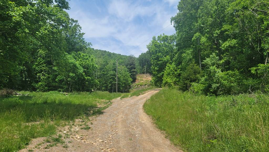 Chilhowie, VA 24319,TBD Middle Fork Road