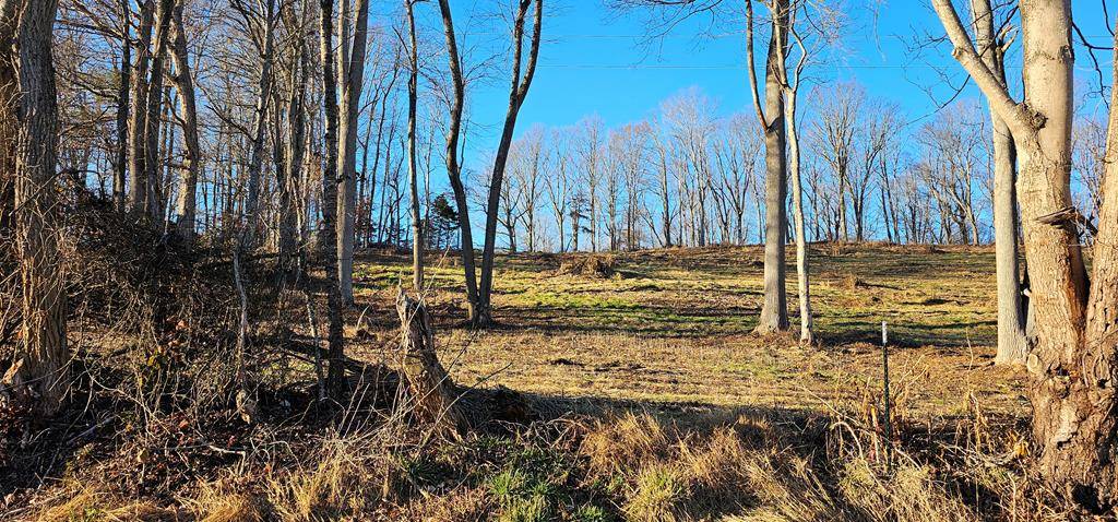 Meadowview, VA 24361,TBD Lot # 1 Old Saltworks Road