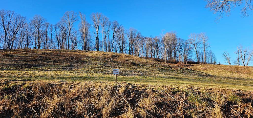 Meadowview, VA 24361,TBD Lot 4, Old Saltworks Road