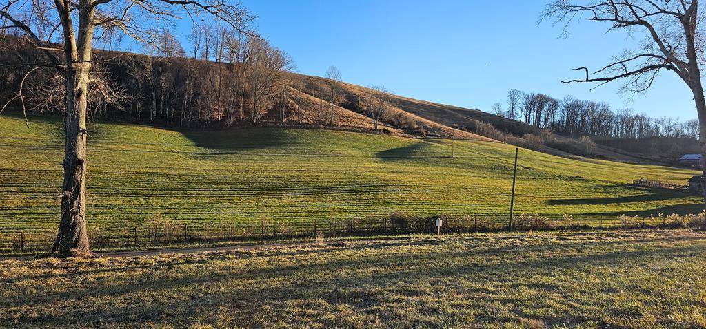 Meadowview, VA 24361,TBD Lot 4, Old Saltworks Road