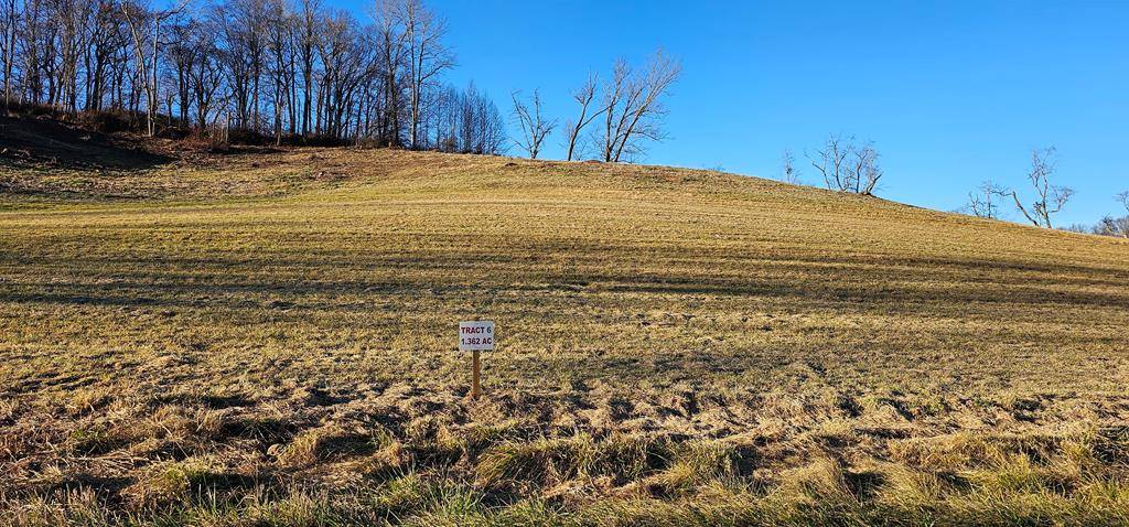 Meadowview, VA 24361,TBD Lot 6, Old Saltworks Road