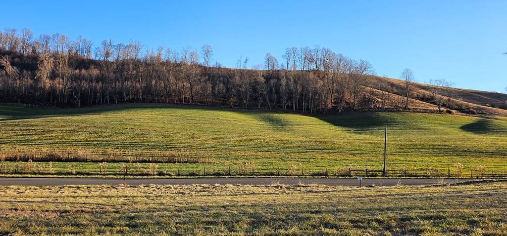 Meadowview, VA 24361,TBD Lot 6, Old Saltworks Road