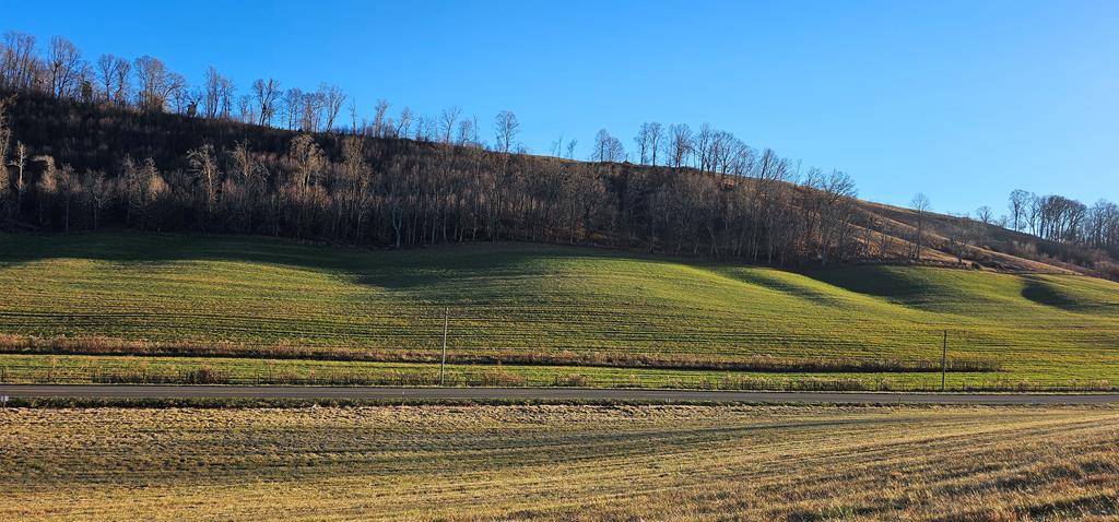 Meadowview, VA 24361,TBD Lot 7, Old Saltworks Road