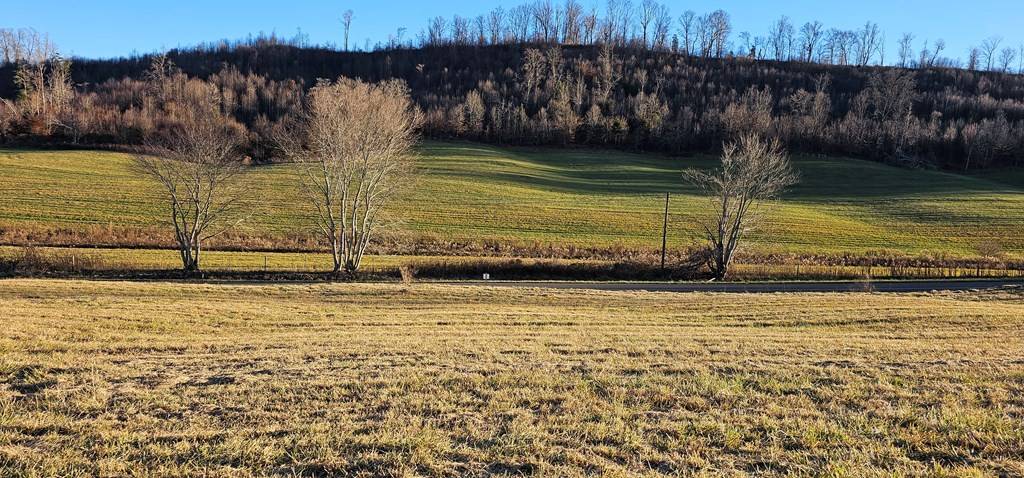 Meadowview, VA 24361,TBD Lot 14, Old Saltworks Road