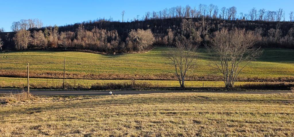 Meadowview, VA 24361,TBD Lot 15, Old Saltworks Road