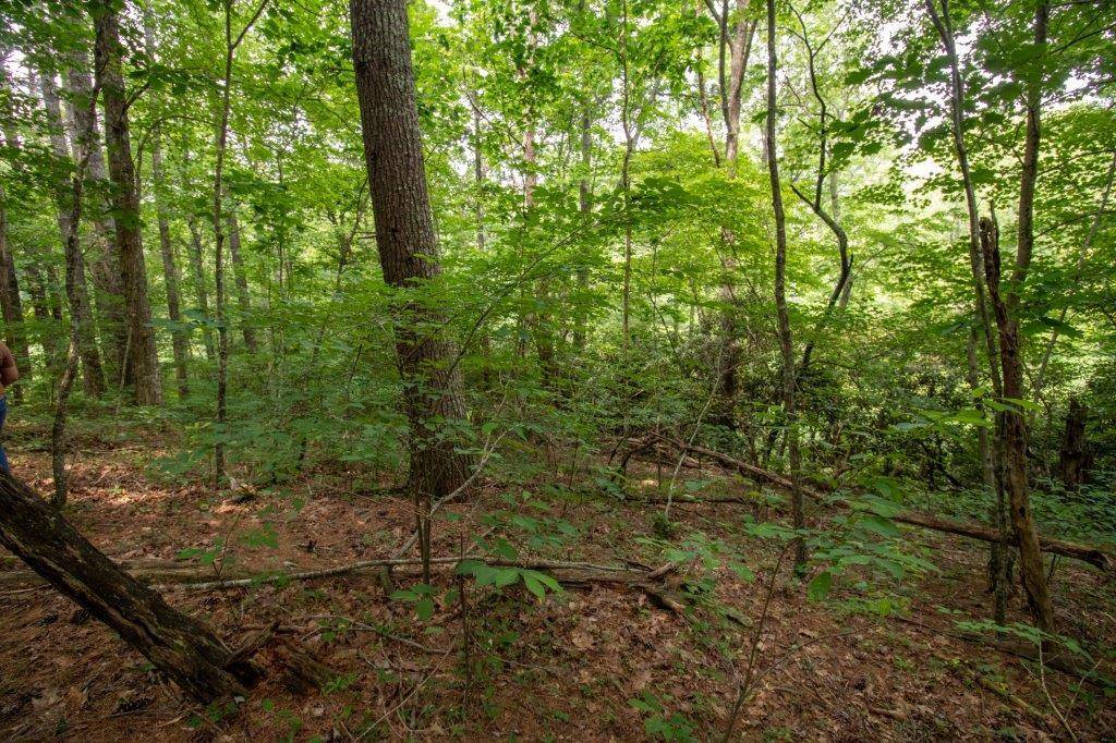 Laurel Fork, VA 24352,Lot 28 Manor House Dr