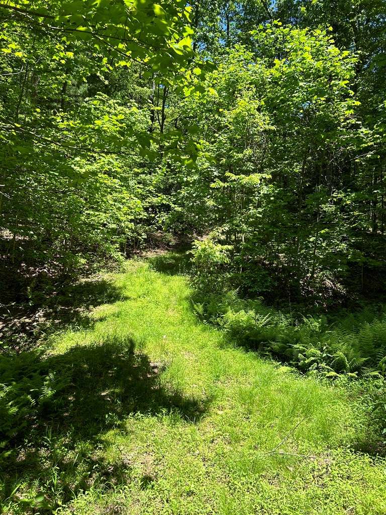 Glade Spring, VA 24340,TBD Widener Valley Rd.