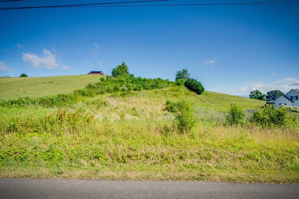 Meadowview, VA 24361,3.646 AC Old Saltworks Rd