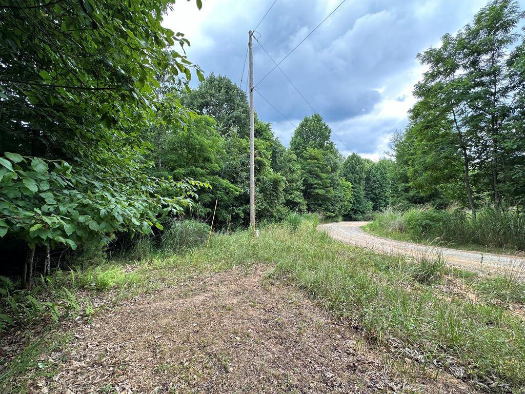 Galax, VA 24333,TBD 0 Live Oak Ln