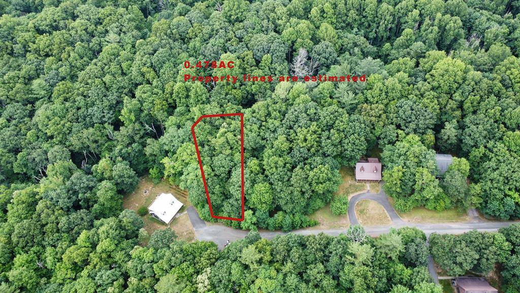 Hillsville, VA 24343,TBD Cabin Village - 1025