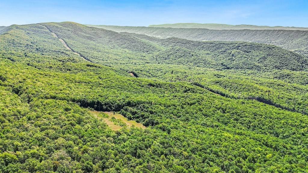 Tazewell, VA 24651,Lot 22 Oneida Peak Rd