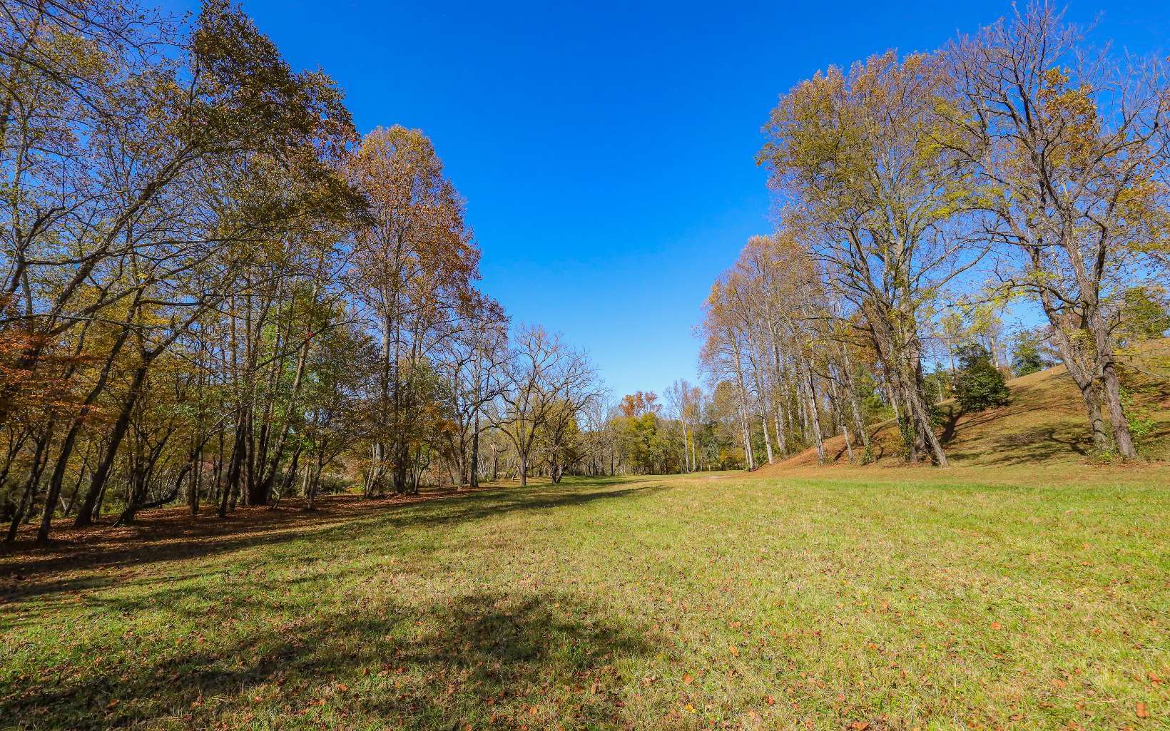 Hayesville, NC 28904,LT 13 Hinton Overlook