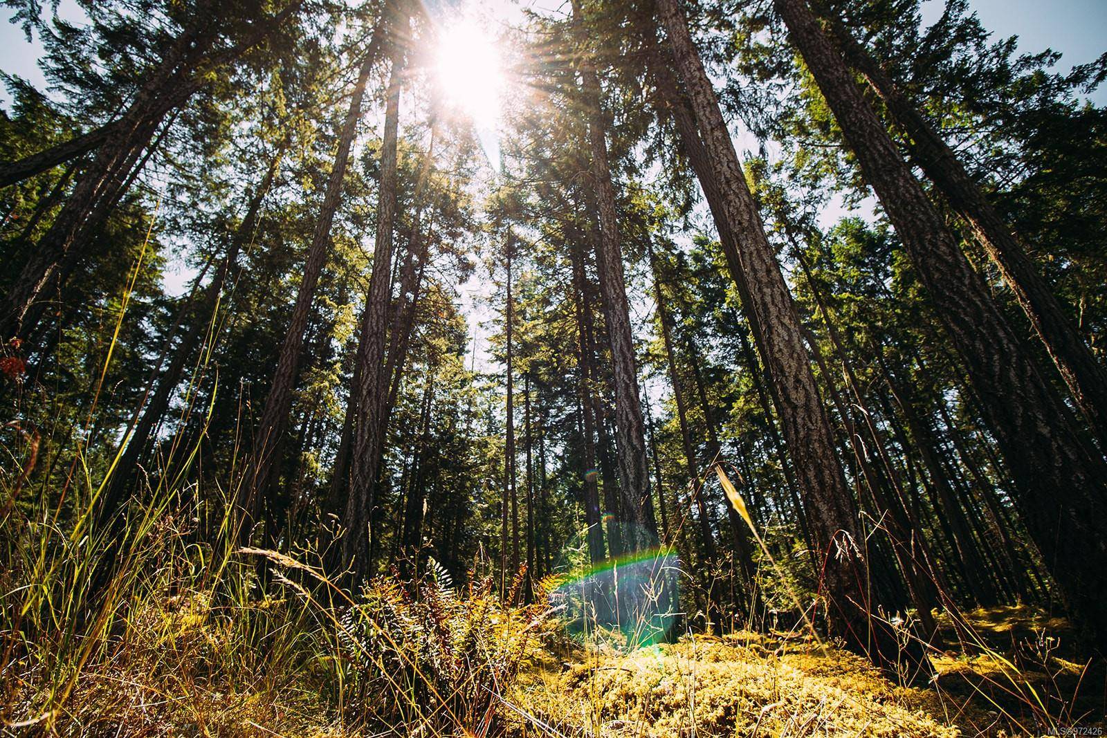 Gabriola Island, BC V0R 1X1,Lt 10 Sitka Grove