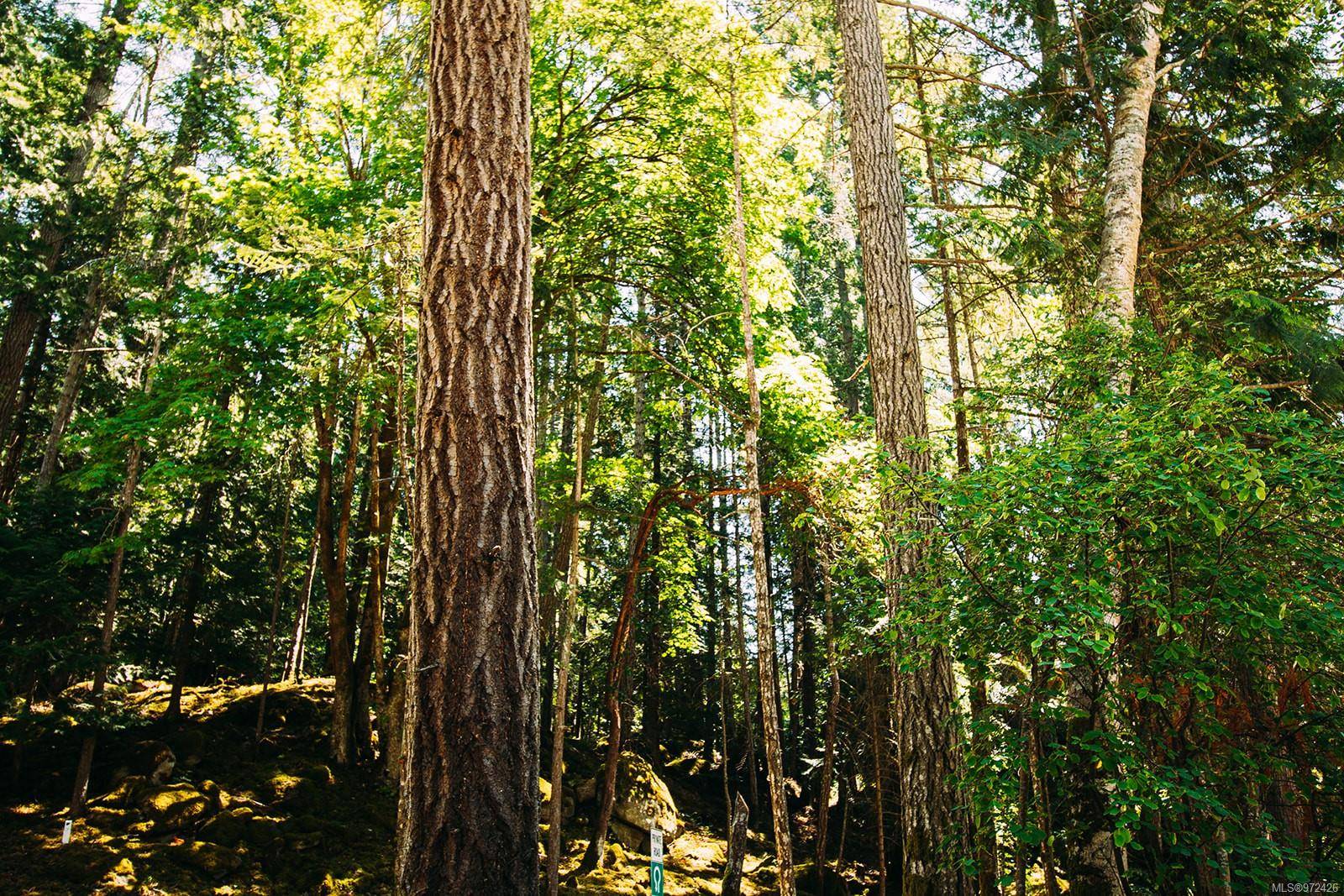 Gabriola Island, BC V0R 1X1,Lt 10 Sitka Grove